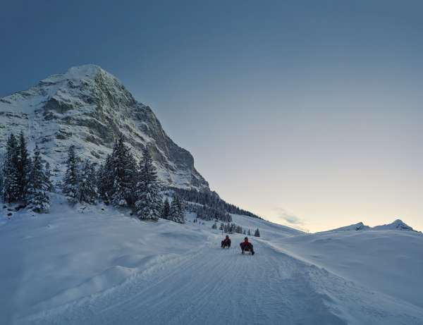 kleine-scheidegg-nachtschlitteln-eiger-run-eigernordwand