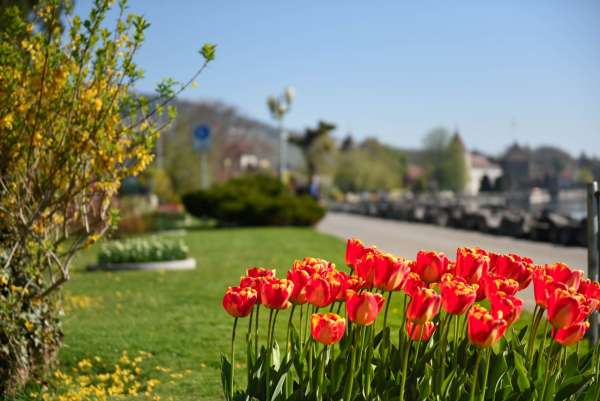 Ouchy-Promenade-Lausanne