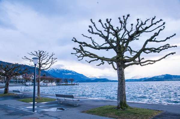 Lake-Zug-Switzerland