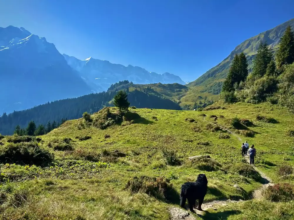 Allmendhubel Hike