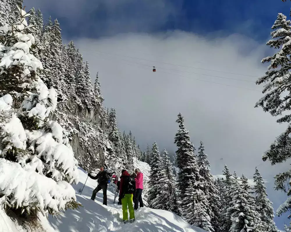 snowshoe trek