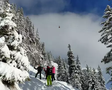 snowshoe trek